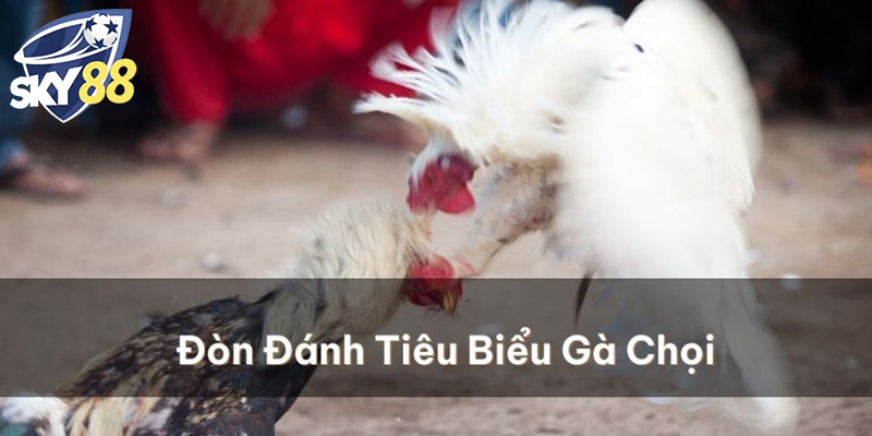 Lợi Ích Từ Các Ưu Đãi Dành Cho Người Chơi Thường Xuyên